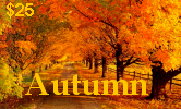 Old Autumn